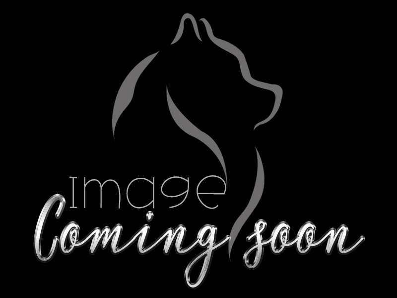 GlamGlow Japanese Spitz